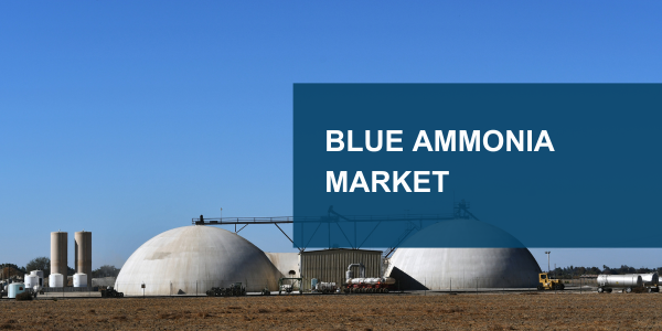 Blue Ammonia Market